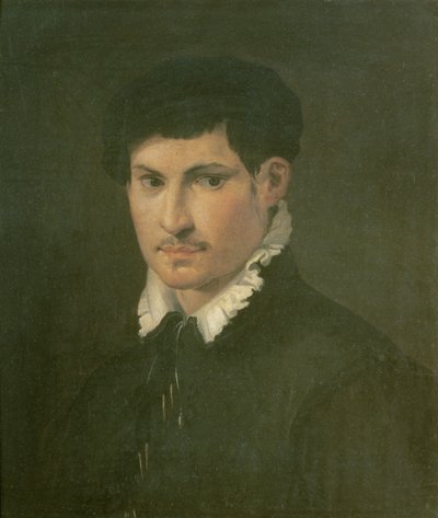 Portret van een jonge man, c.1540 door Nicolo dell Abate